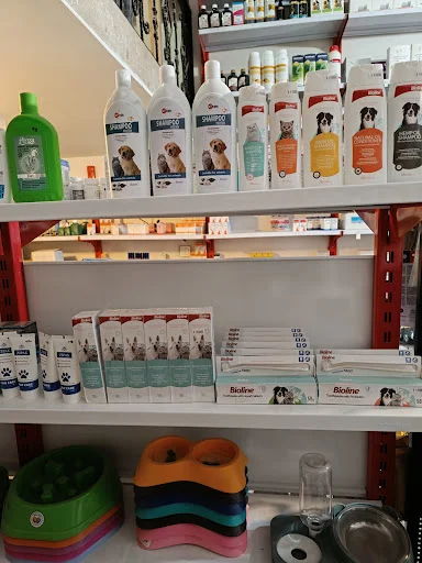 پت شاپ پتیم