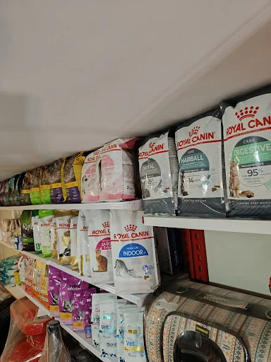 پت شاپ پتیم