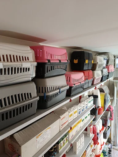 پت شاپ پتیم