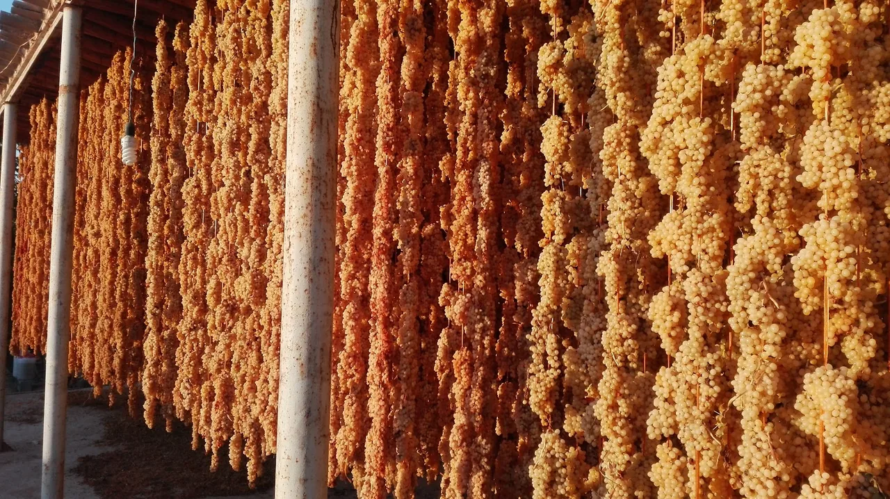 عطاری افخم تبریز عمده،خرده - تصویر 12