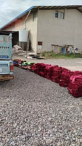 قالیشویی حبیبی
