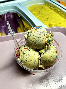 آبمیوه بستنی ارک