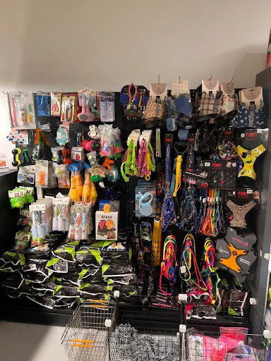 کلینیک حیوانات تبریز پلاس