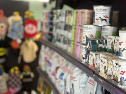 کلینیک حیوانات تبریز پلاس