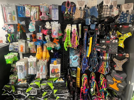 کلینیک حیوانات تبریز پلاس