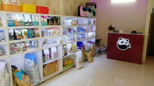 کلینیک حیوانات خانگی پاندا - کلینیک دامپزشکی در تبریز