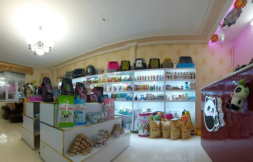 کلینیک حیوانات خانگی پاندا - کلینیک دامپزشکی در تبریز