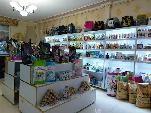 کلینیک حیوانات خانگی پاندا - کلینیک دامپزشکی در تبریز