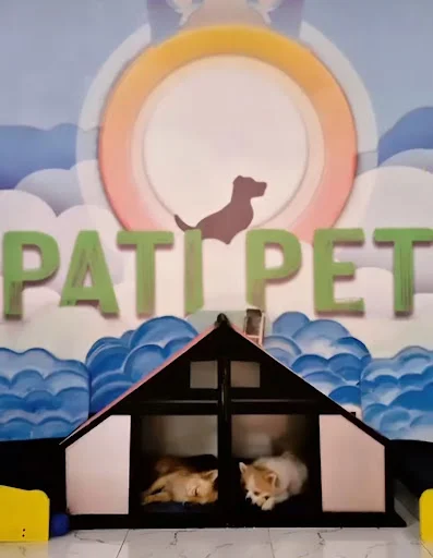 هتل پانسیون و مهد سگ پاتی