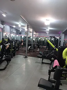 باشگاه بدنسازی مجید