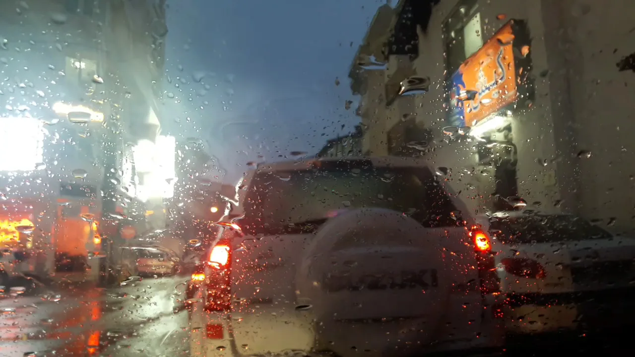 موسسه آموزش زبان کیش نمایندگی گلسار - تصویر 2