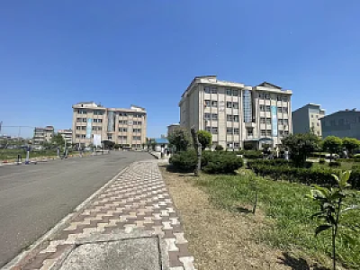 دانشگاه آزاد اسلامی