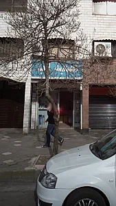 تصفیه آب