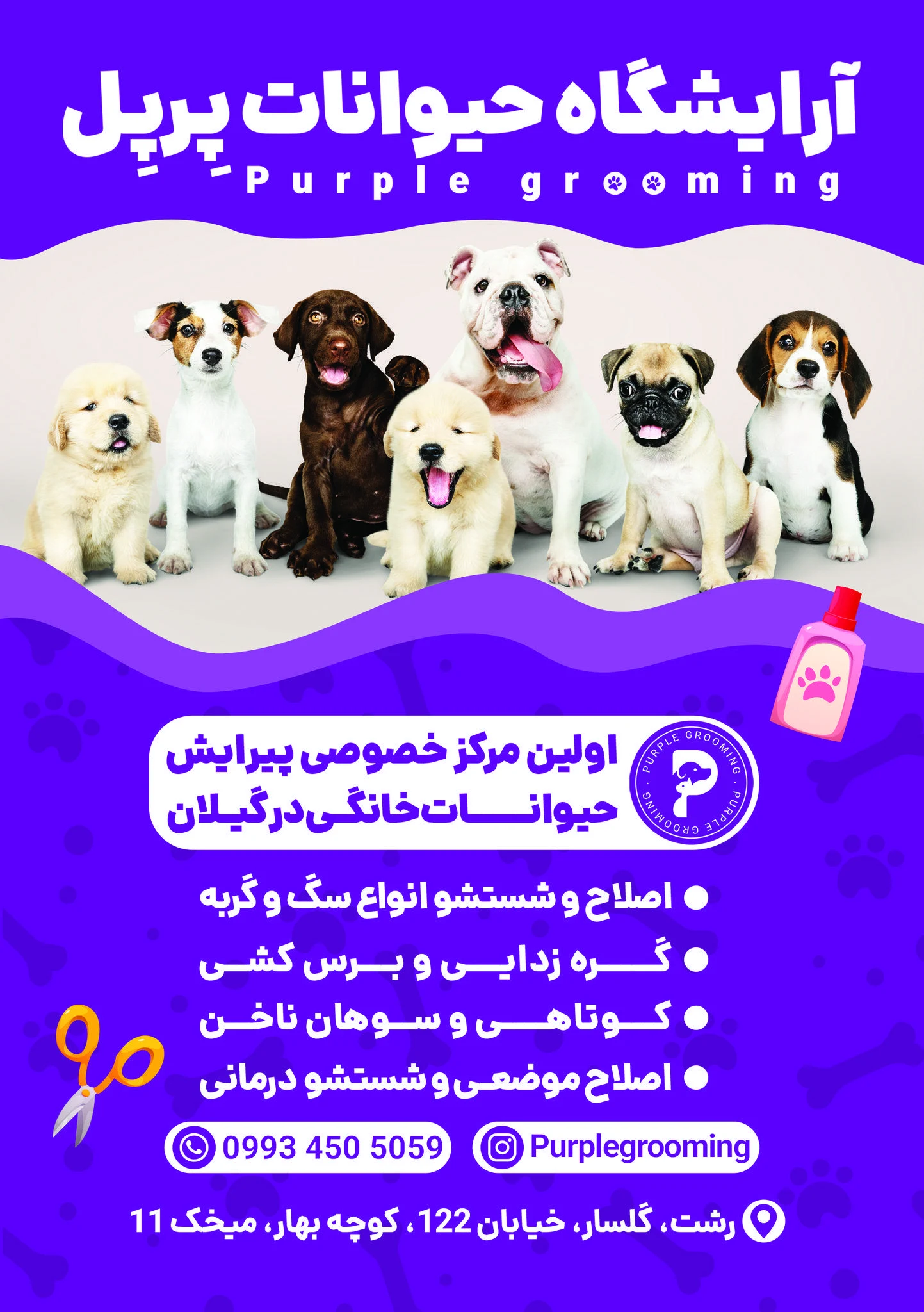 آرایشگاه حیوانات پرپل - تصویر 2