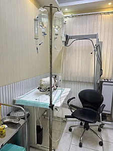 کلینیک دامپزشکی پارس