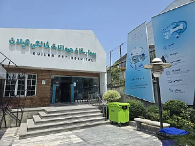 بیمارستان دامپزشکی شبانه‌روزی گیلان پت
