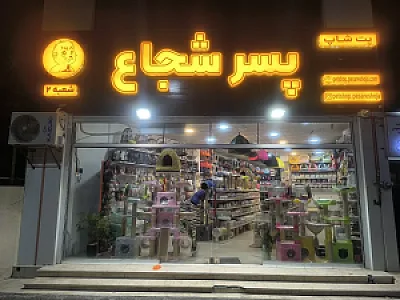 پت شاپ پسر شجاع