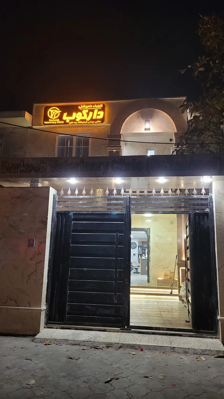 کلینیک دامپزشکی دارکوب - تصویر 2