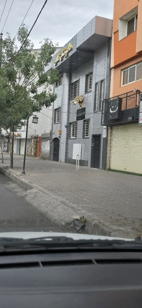 پلی کلینیک دامپزشکی گلدن - تصویر 2