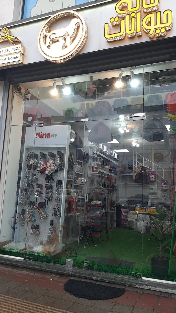 پت شاپ خانه حیوانات رشت| petshop - تصویر 2