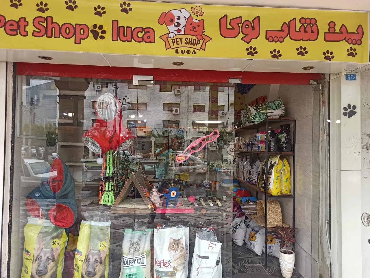 پت شاپ خانه حیوانات رشت| petshop - تصویر 3