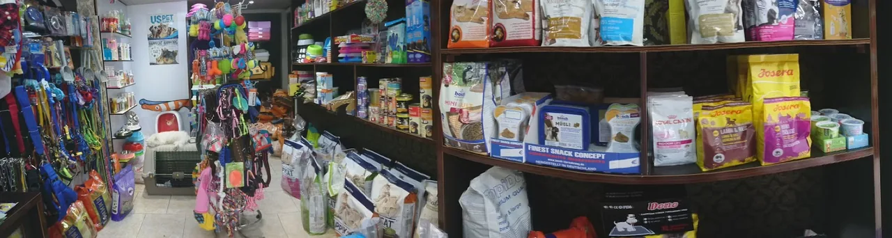 پت شاپ خانه حیوانات رشت| petshop - تصویر 5