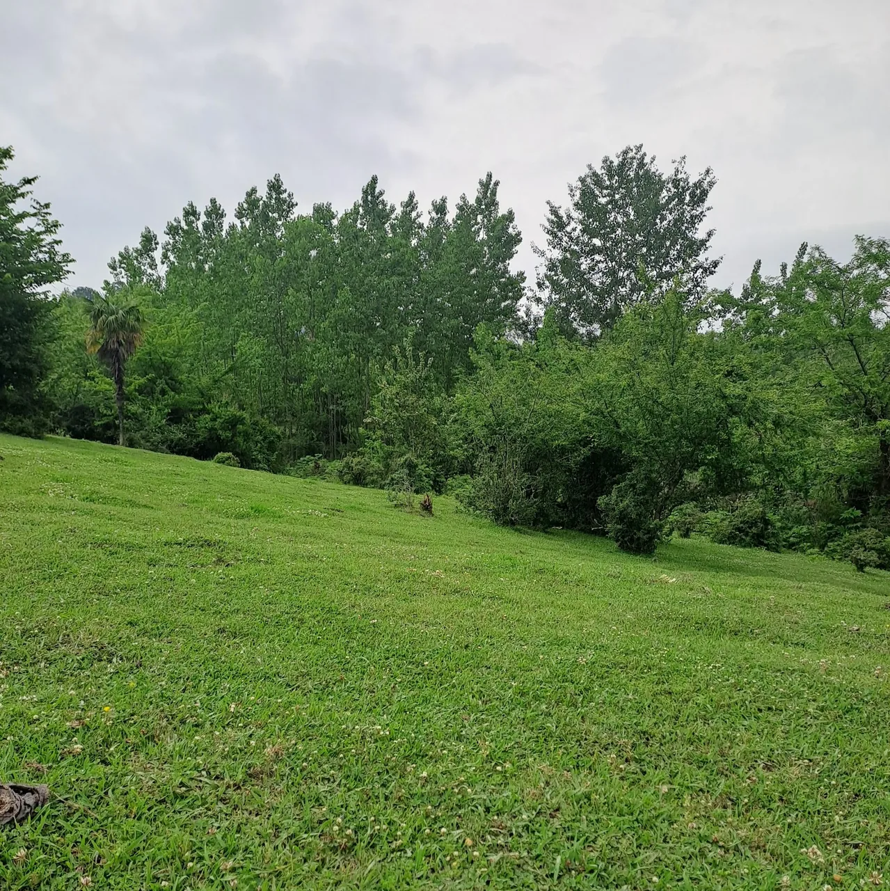 خانه بازی کوکوملون - تصویر 3