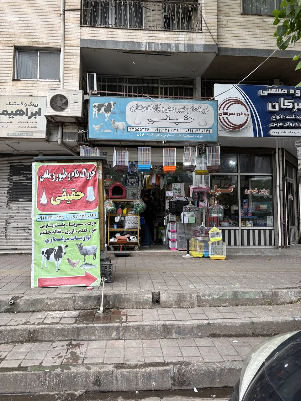 خوراک دام و طیور دام کار - تصویر 2
