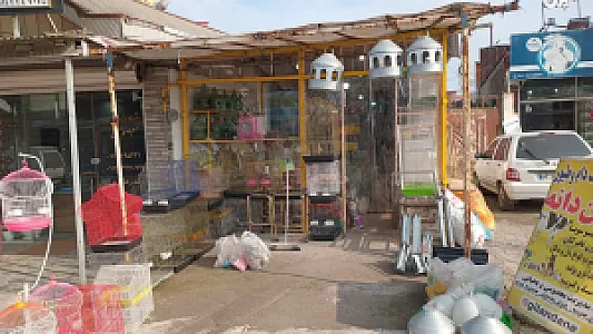 خوراک دام و طیور گیلان دانه