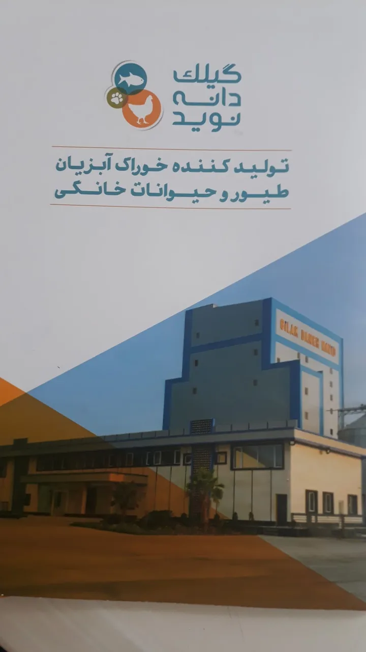 تولید کننده خوراک آبزیان،دام و طیور و غذای حیوانات خانگی گیلک دانه نوید - تصویر 2