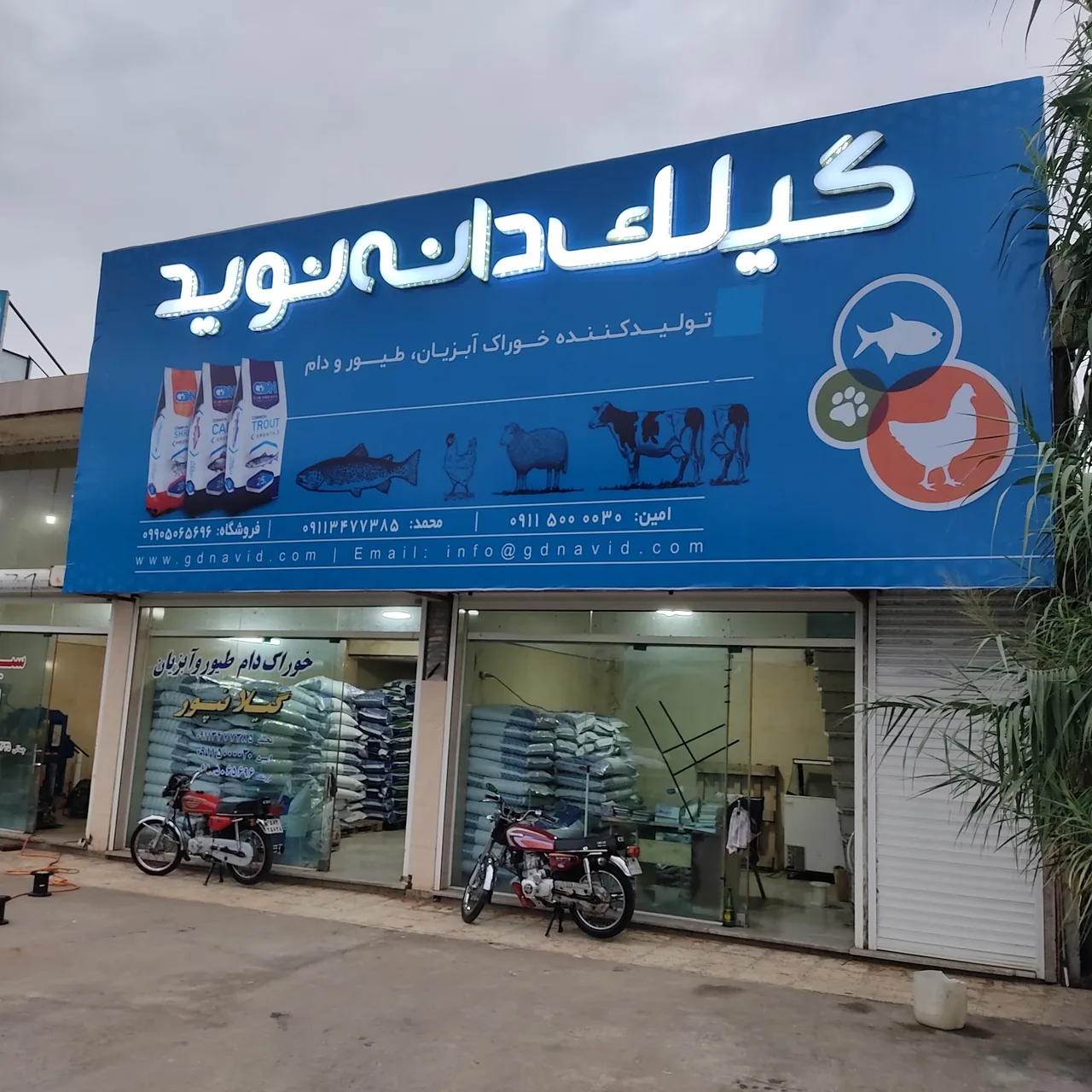 تولید کننده خوراک آبزیان،دام و طیور و غذای حیوانات خانگی گیلک دانه نوید - تصویر 5