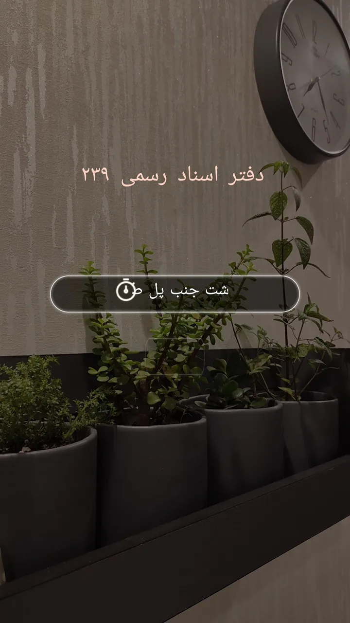 دفتر اسناد رسمی 239 - تصویر 3