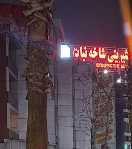 شیرینی سرای شاخه نبات