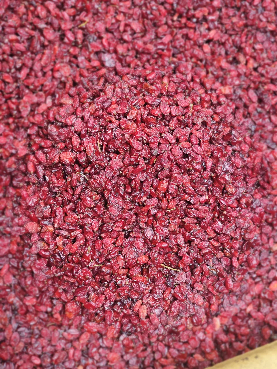 آجیل و خشکبار راد