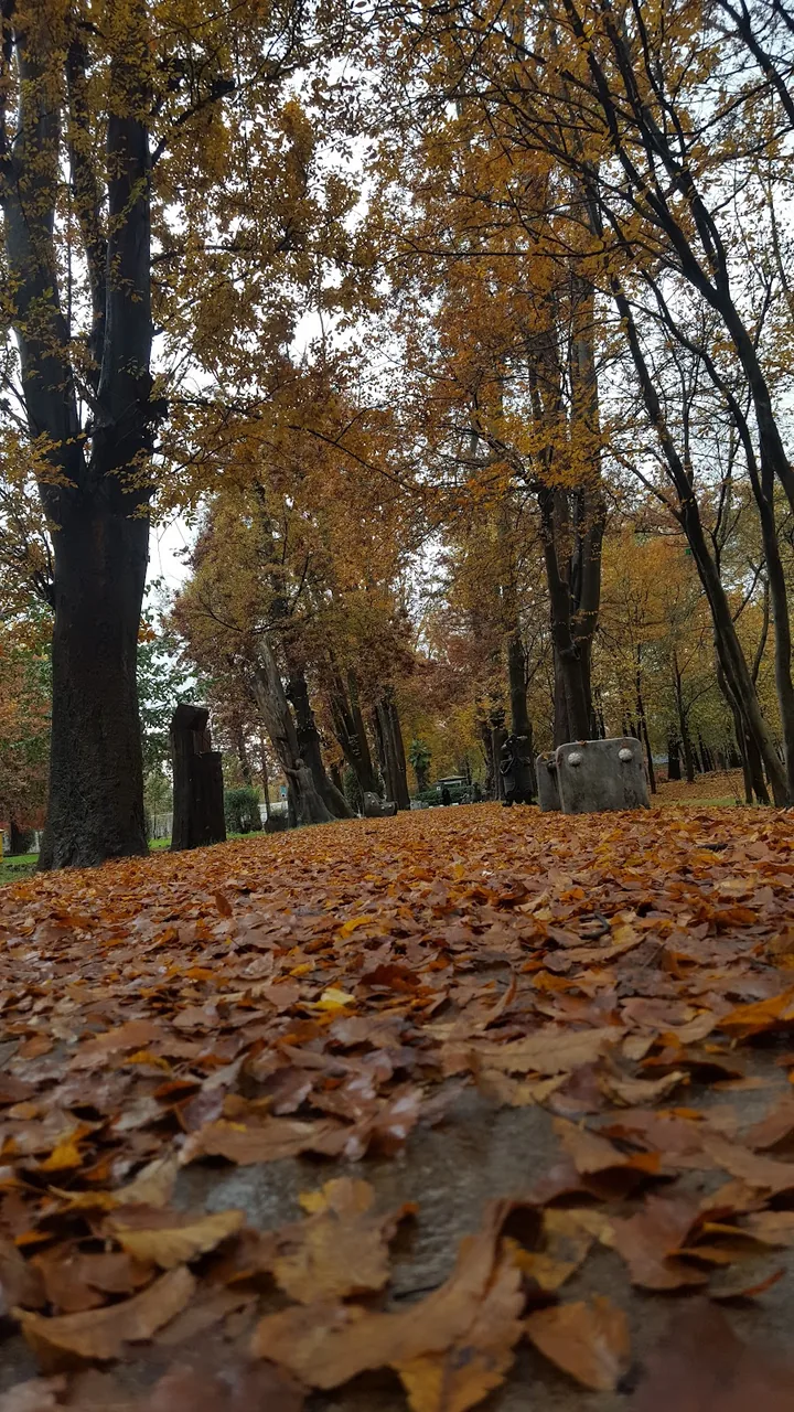 لابراتوار عکاسی نورا - تصویر 5