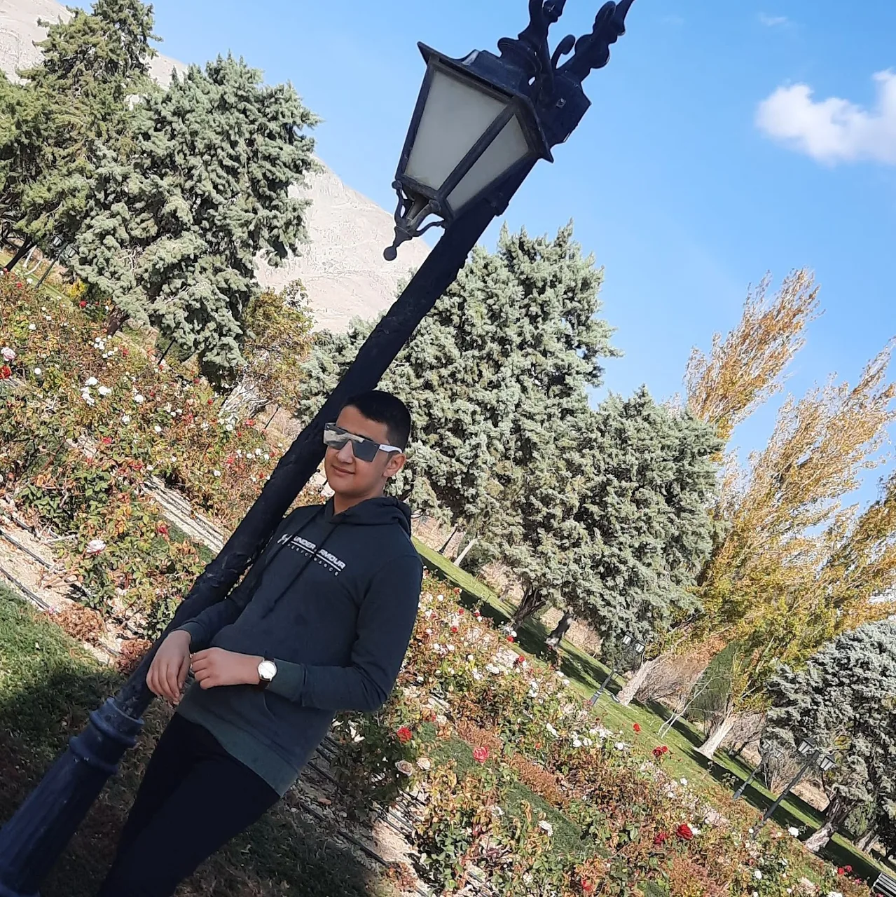 کافینت سبزاندیشان - تصویر 2