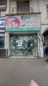 فضل الکتریک