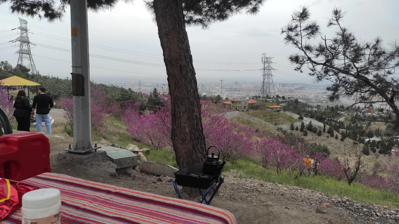 بام کوهسار - تصویر 4