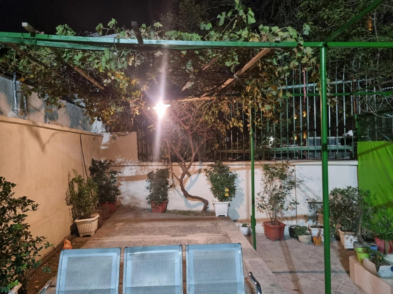 کمپیتال دروس - تصویر 3