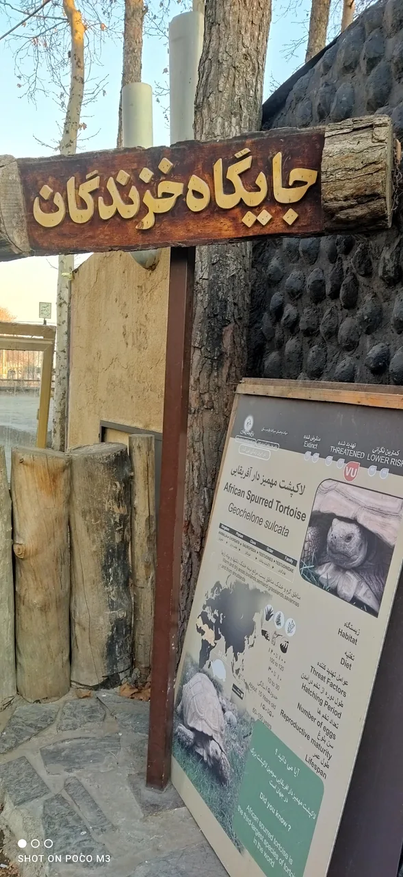 تونل خزندگان - تصویر 4