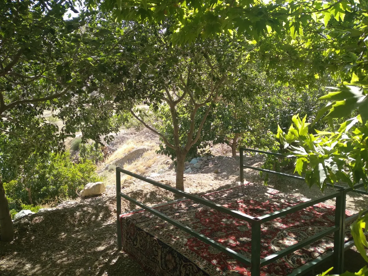 محصولات ارگانیک و ماهی سرای حصارکی - تصویر 2
