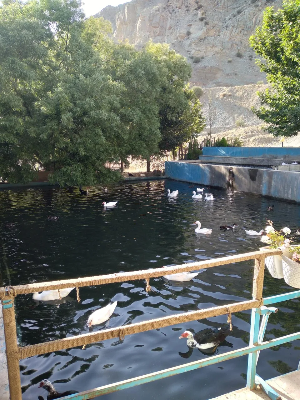 محصولات ارگانیک و ماهی سرای حصارکی - تصویر 3