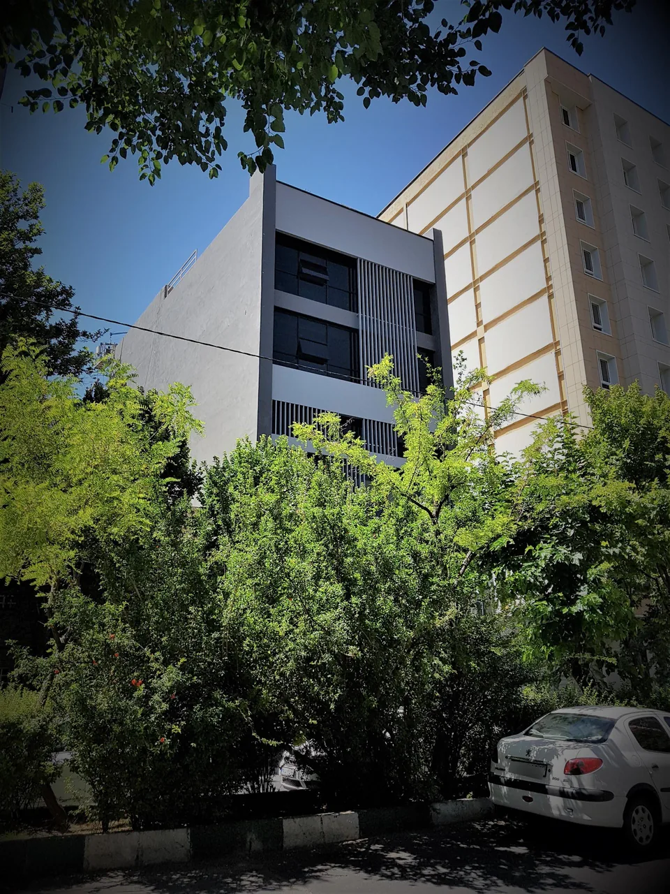 شرکت تونل سد آریانا - تصویر 3