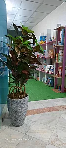 ‌کودک نشر