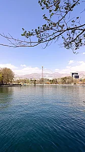 سیرک بزرگ ارم