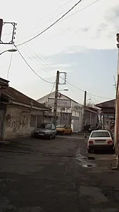 قالی شویی فرش