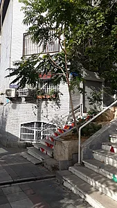 سونوگرافی قصر