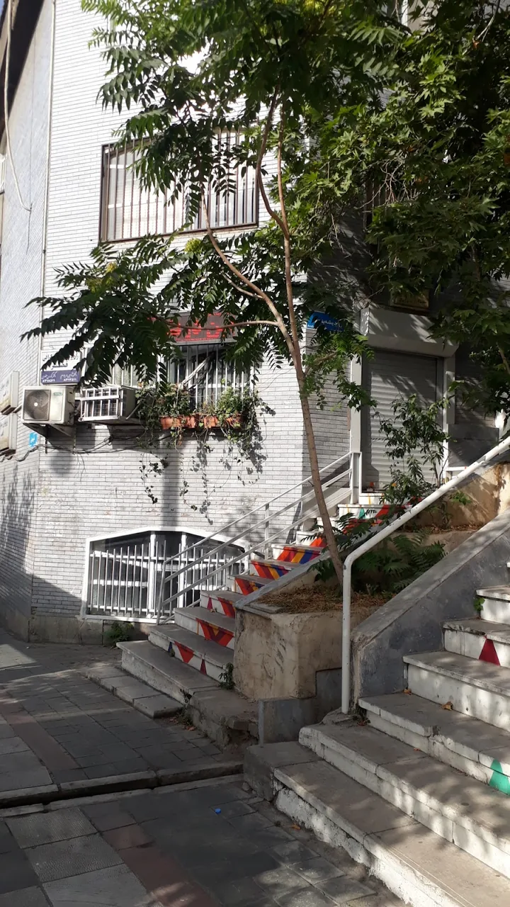 سونوگرافی قصر