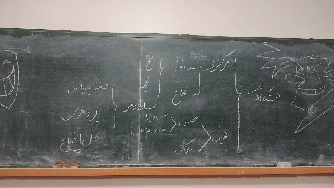 تدریس خصوصی زیست و مشاوره تحصیلی کنکور