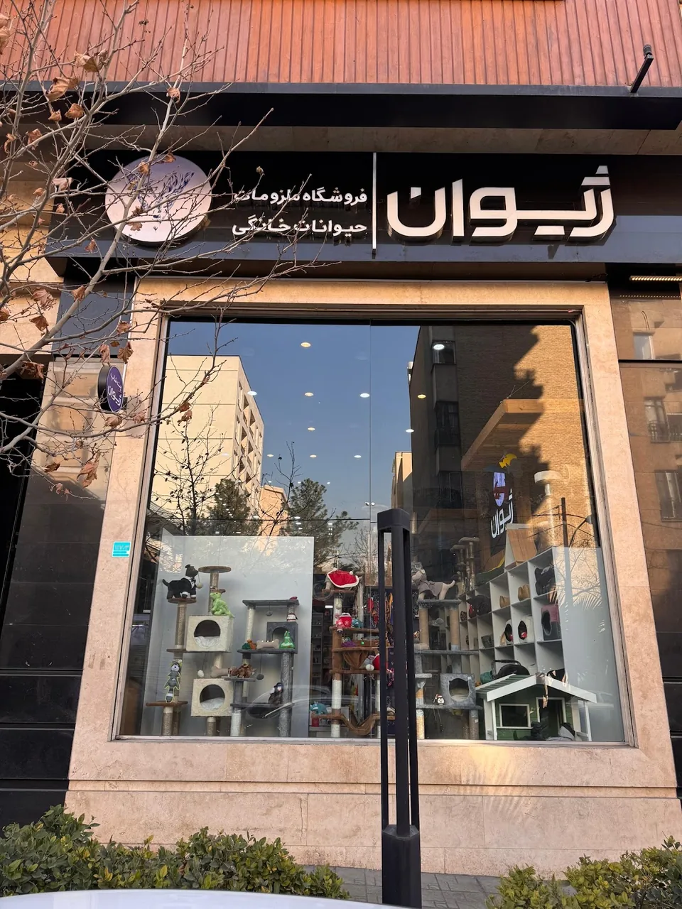 پت شاپ ژیوان هروی